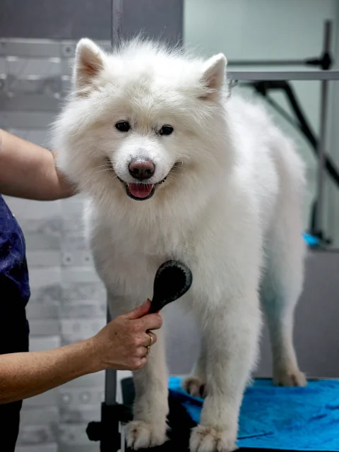 gallery_images-1